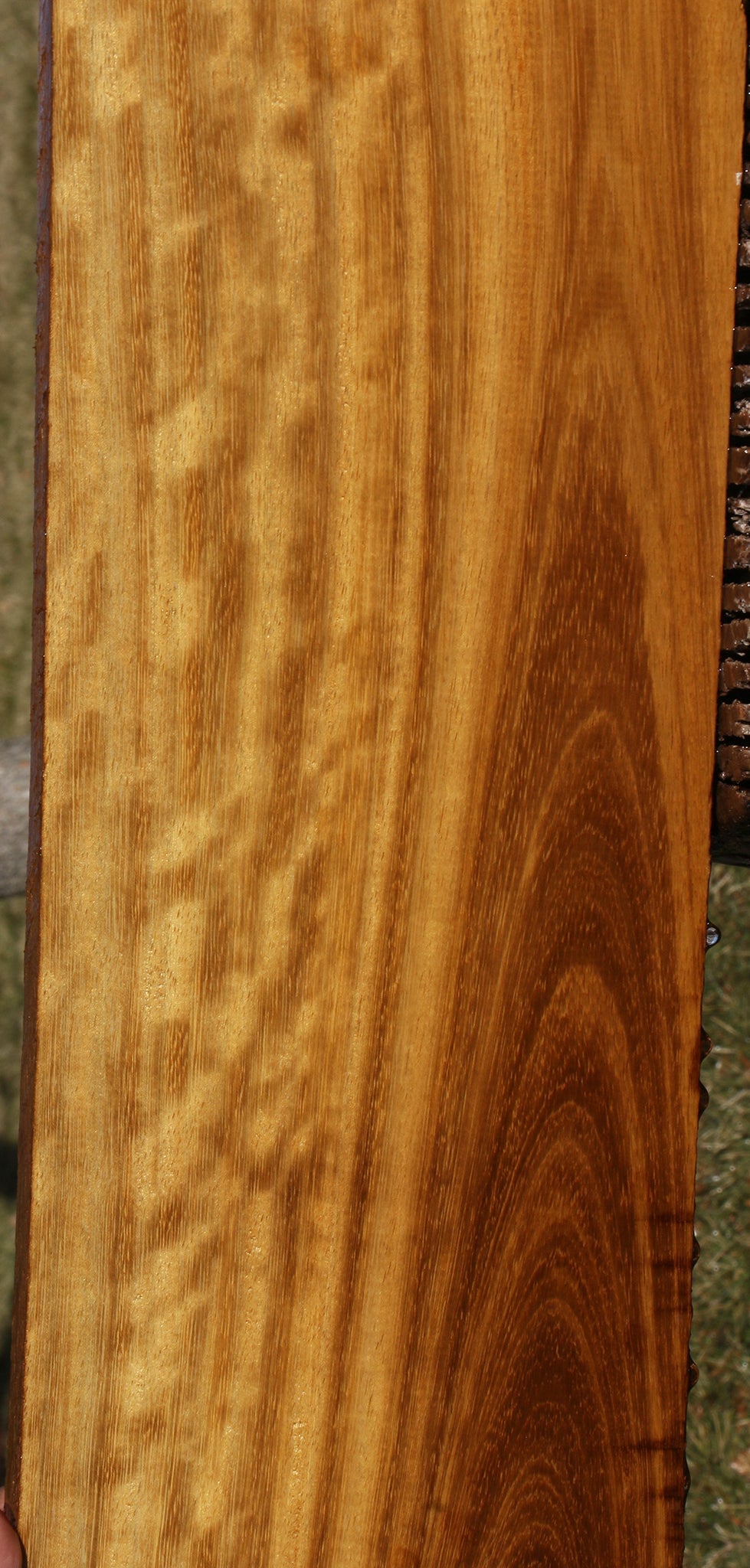 Extra Fancy African Teak Lumber