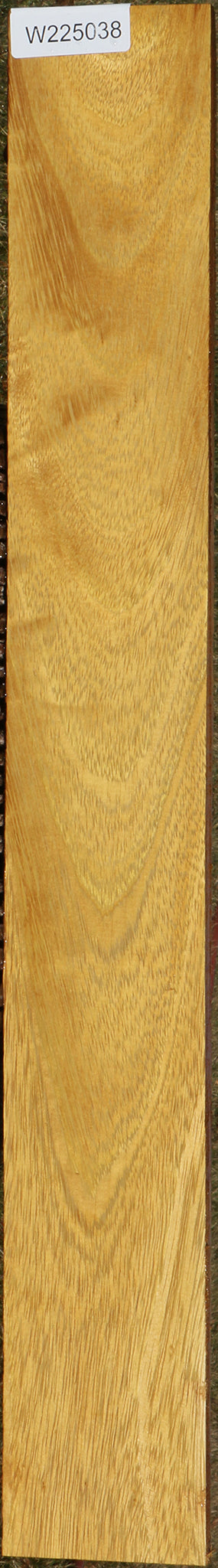 African Teak Lumber