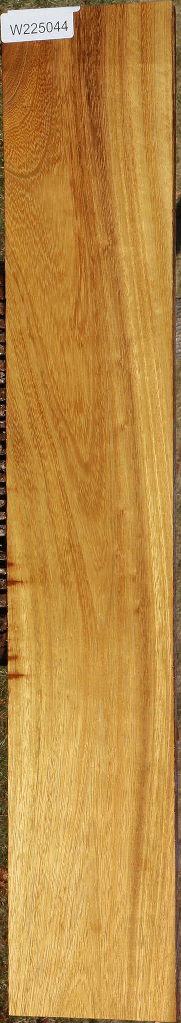 African Teak Lumber
