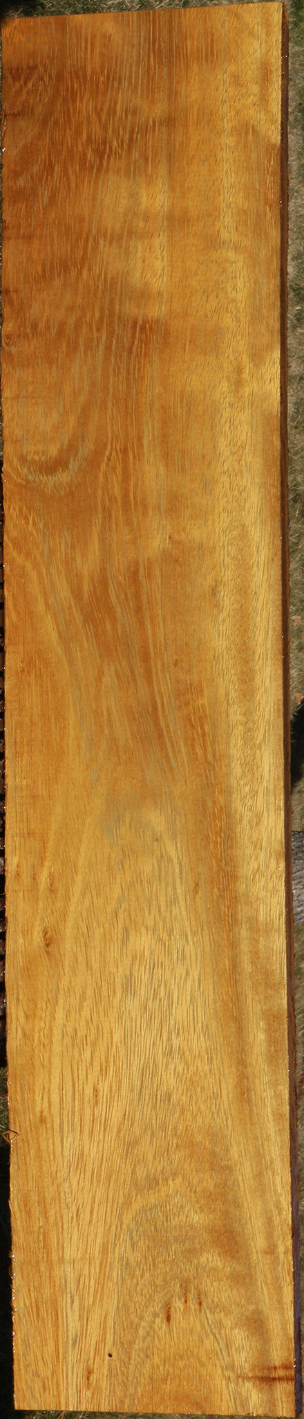 African Teak Lumber
