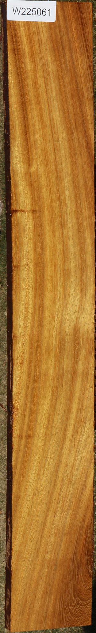 African Teak Lumber