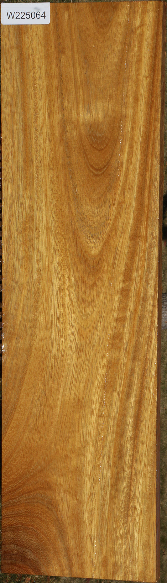 African Teak Lumber