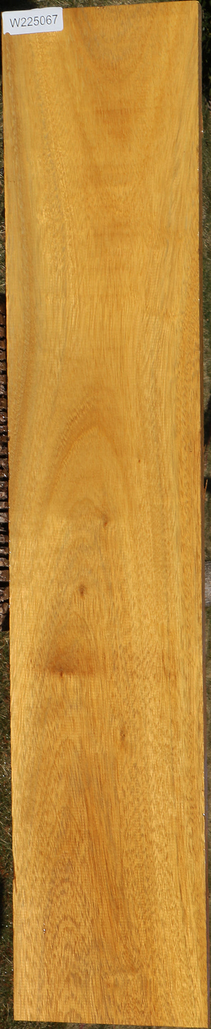 African Teak Lumber