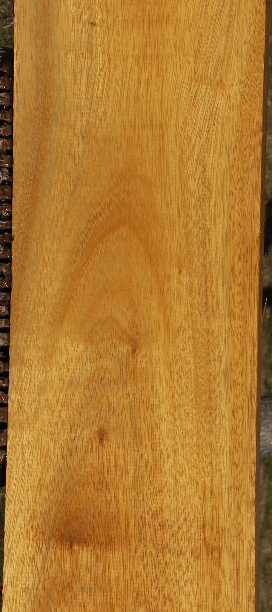 African Teak Lumber