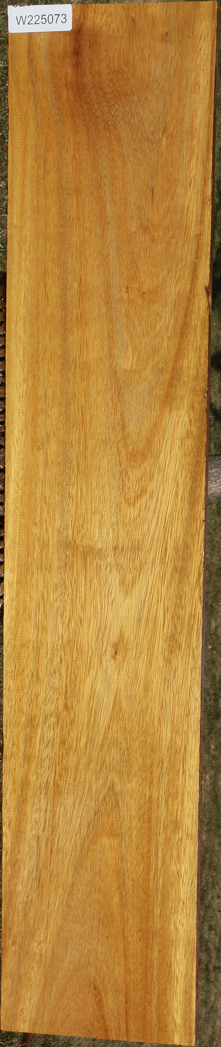 African Teak Lumber