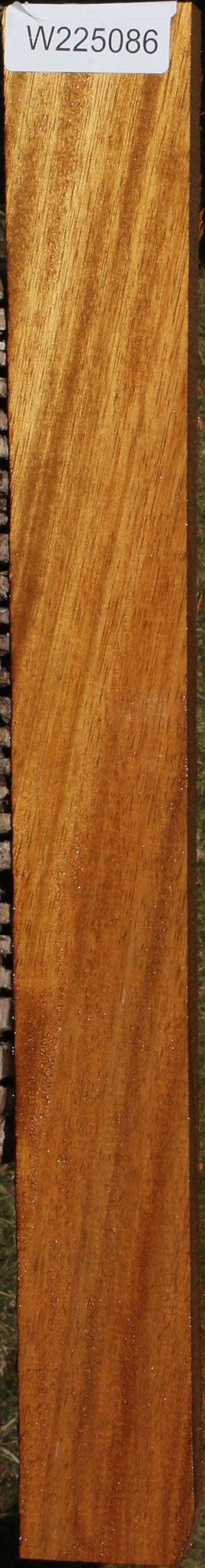 African Teak Lumber