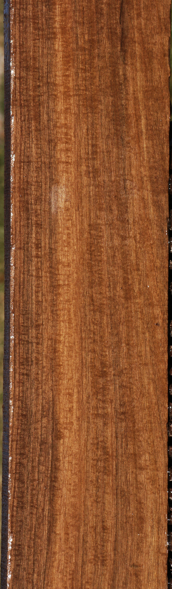 Figured Mansonia Lumber