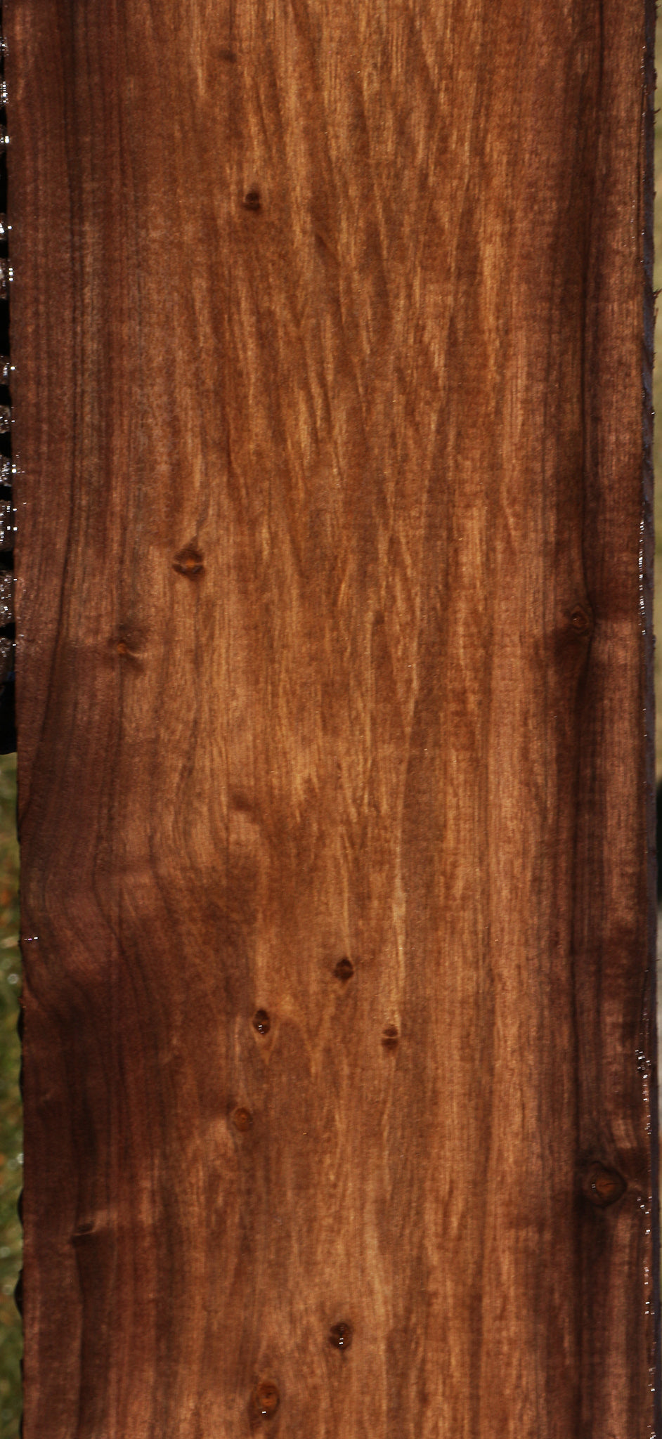 Extra Fancy Mansonia Lumber