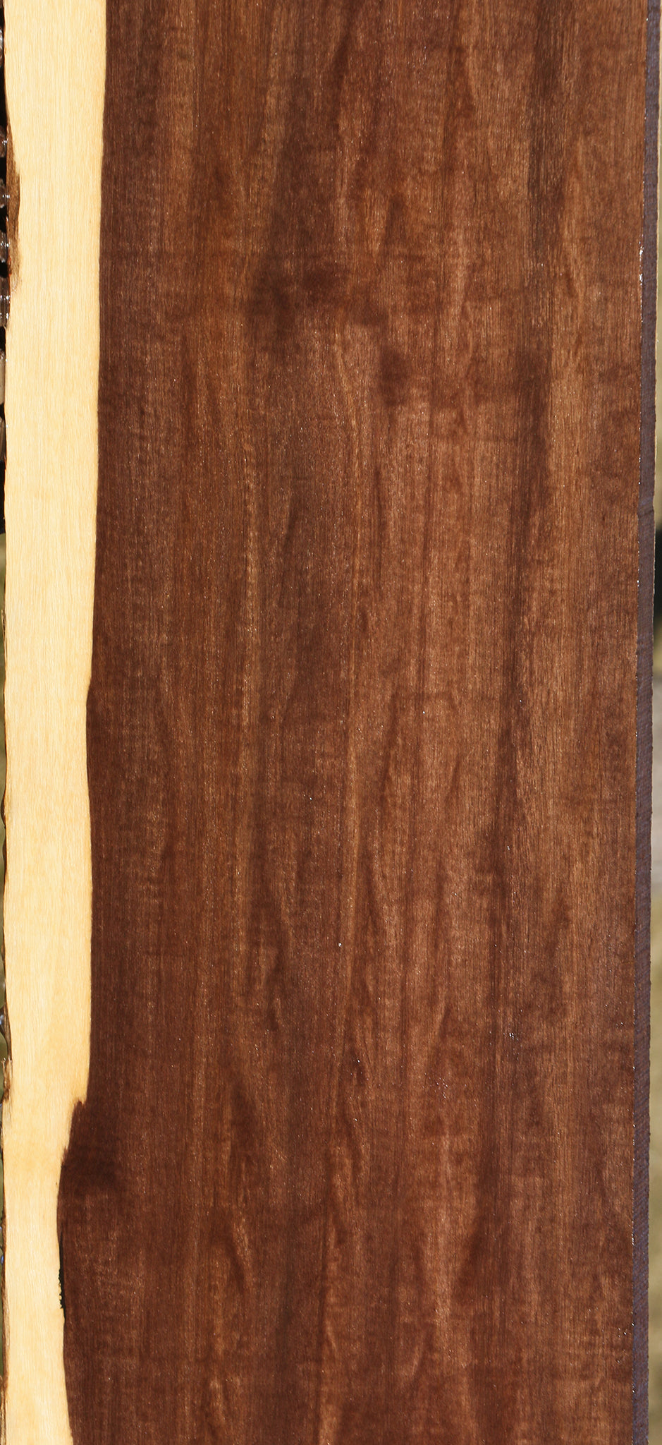 Rustic Mansonia Lumber