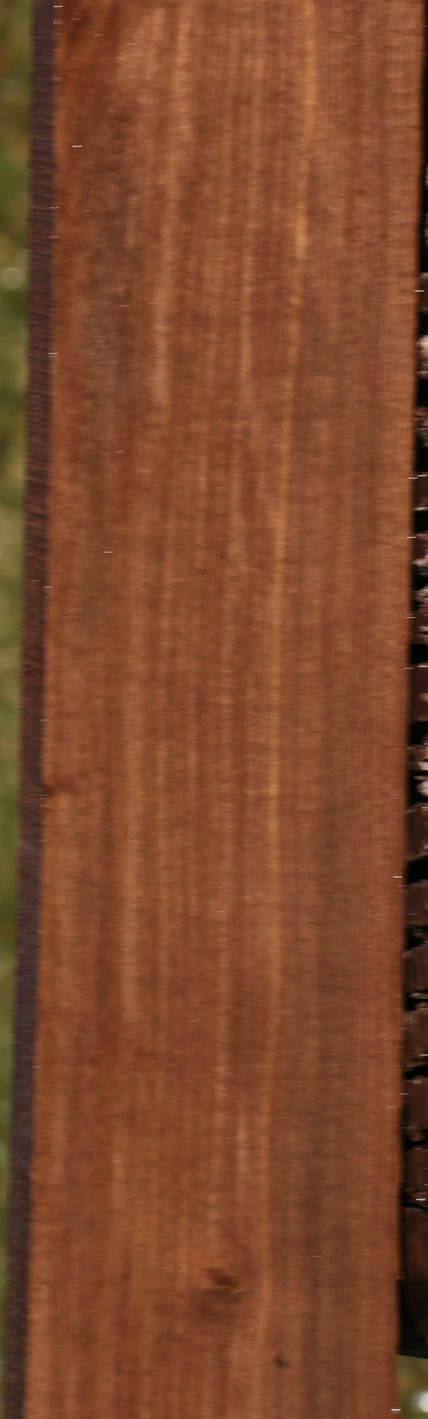 Figured Mansonia Lumber