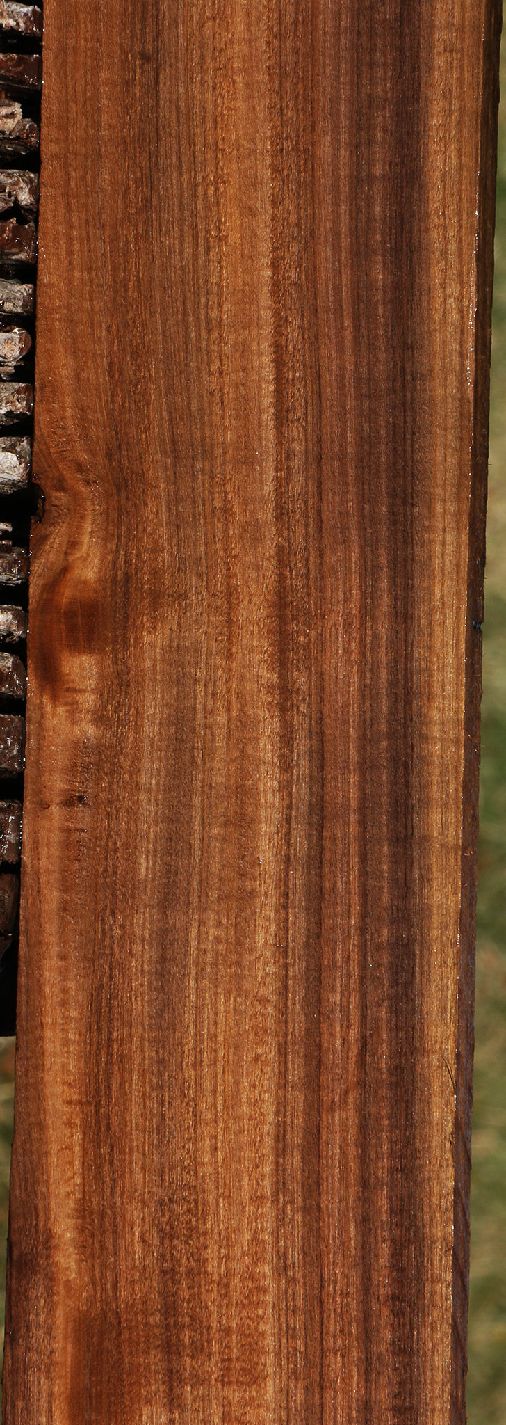 Extra Fancy Mansonia Lumber