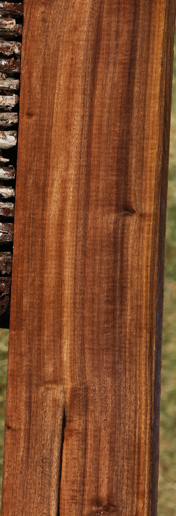 Extra Fancy Mansonia Lumber