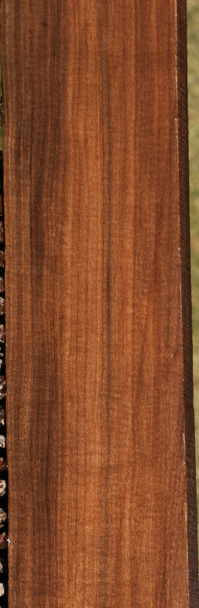 Extra Fancy Mansonia Lumber