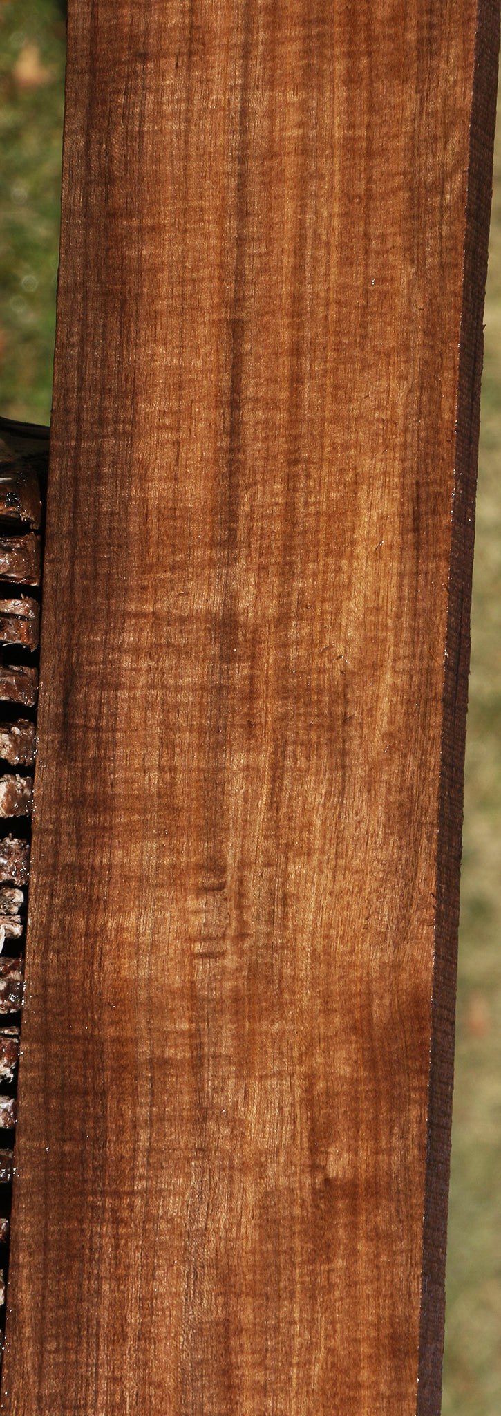 Extra Fancy Mansonia Lumber