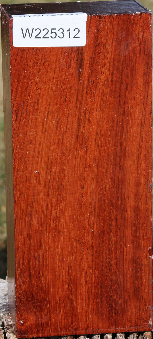 Brazilian Cherry Turning Blank