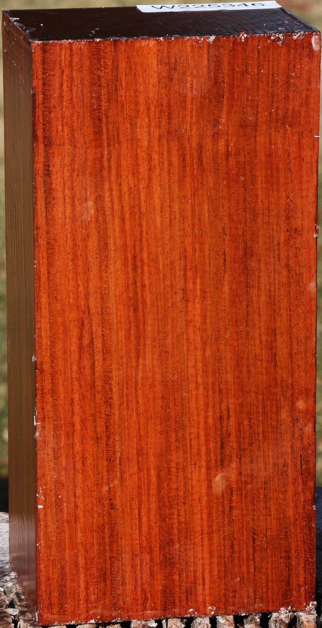 Brazilian Cherry Turning Blank