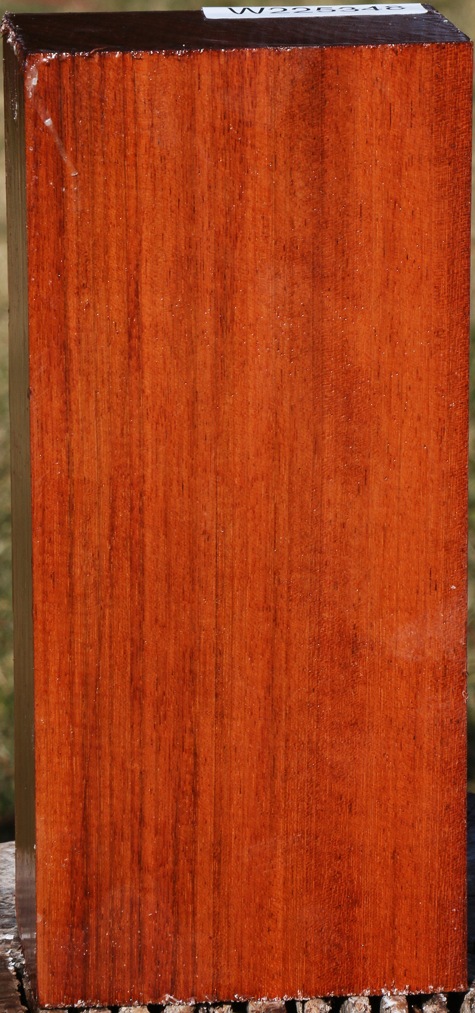 Brazilian Cherry Turning Blank