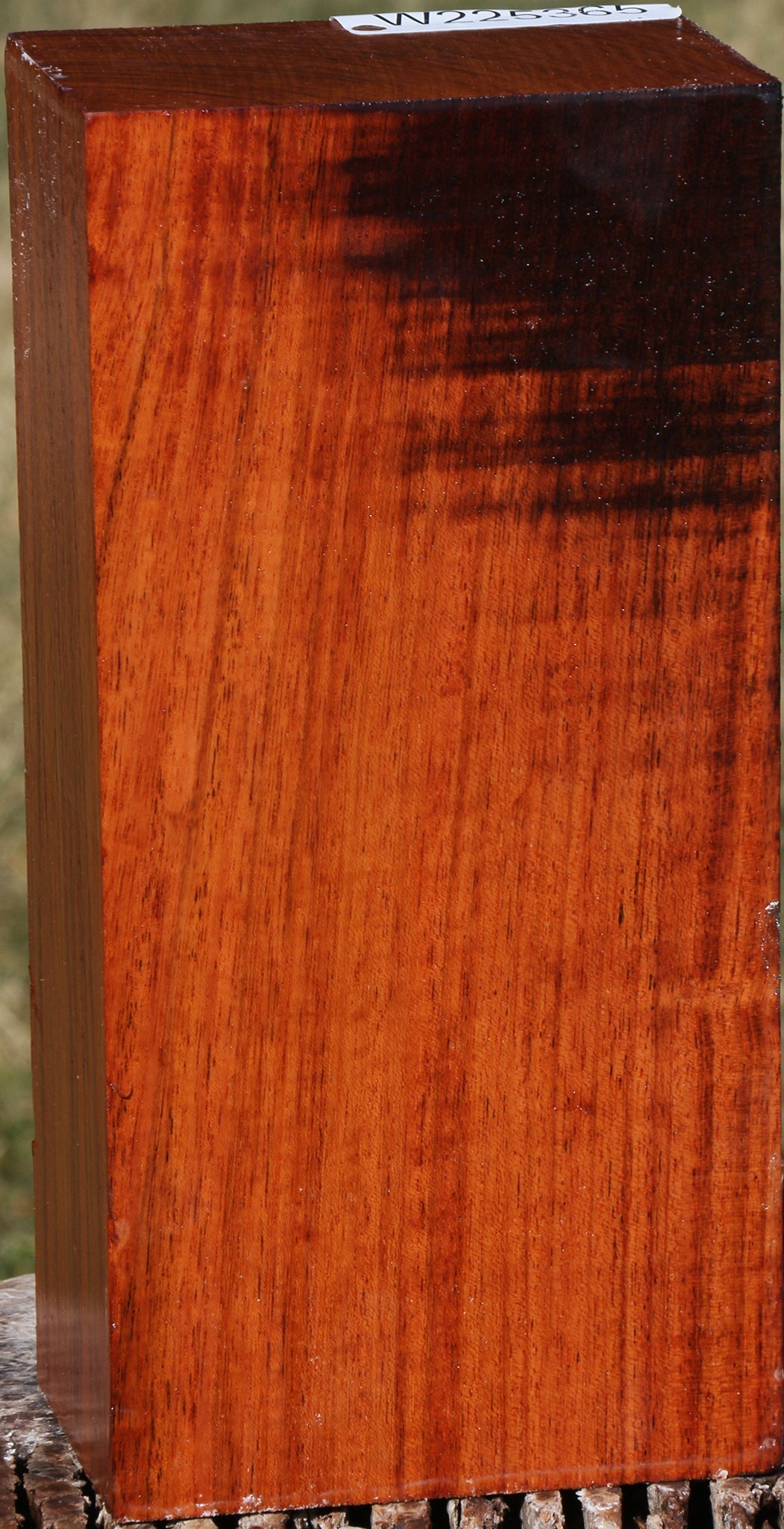 Brazilian Cherry Turning Blank