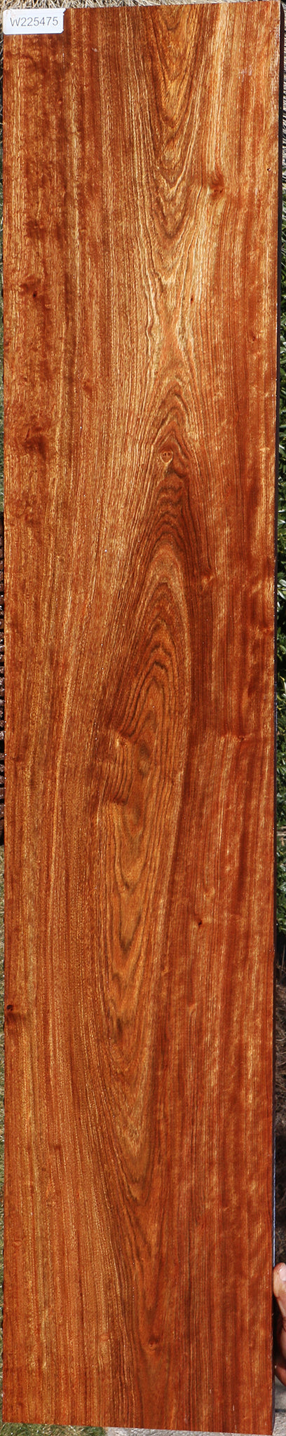 Figured Chechen Lumber