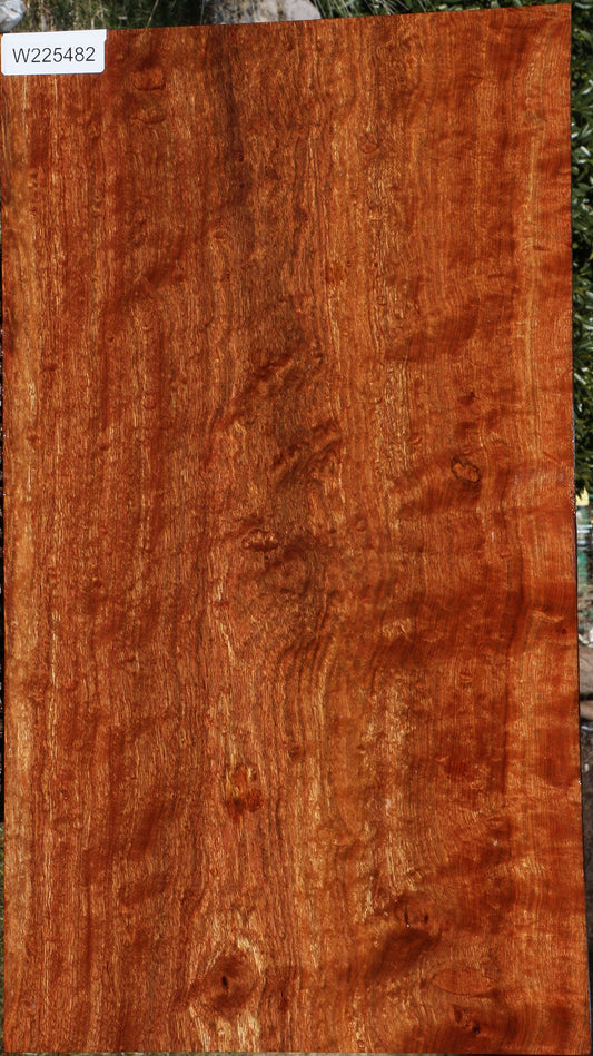 Extra Fancy Chechen Lumber