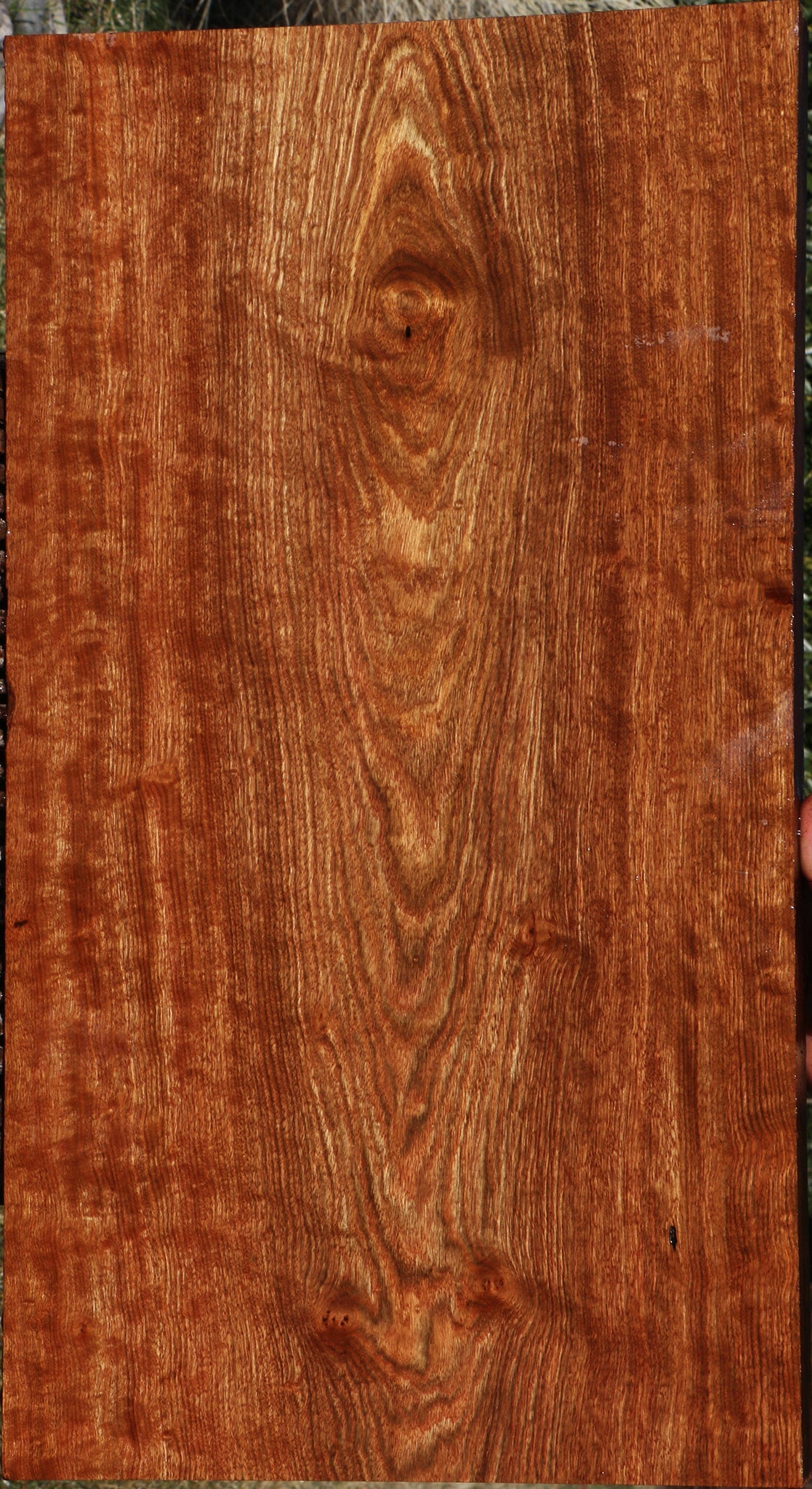 Extra Fancy Chechen Lumber