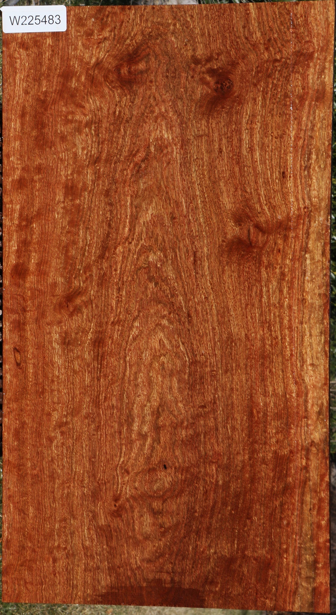 Extra Fancy Chechen Lumber