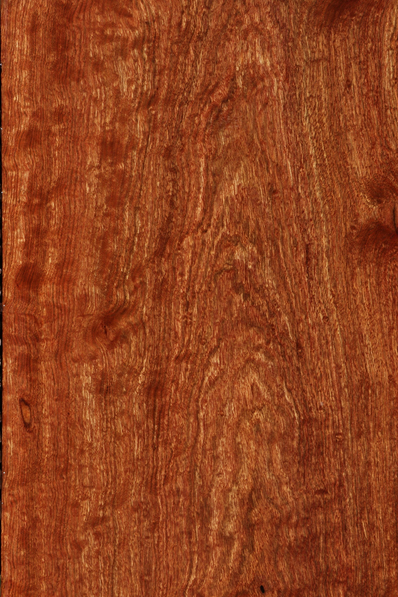 Extra Fancy Chechen Lumber