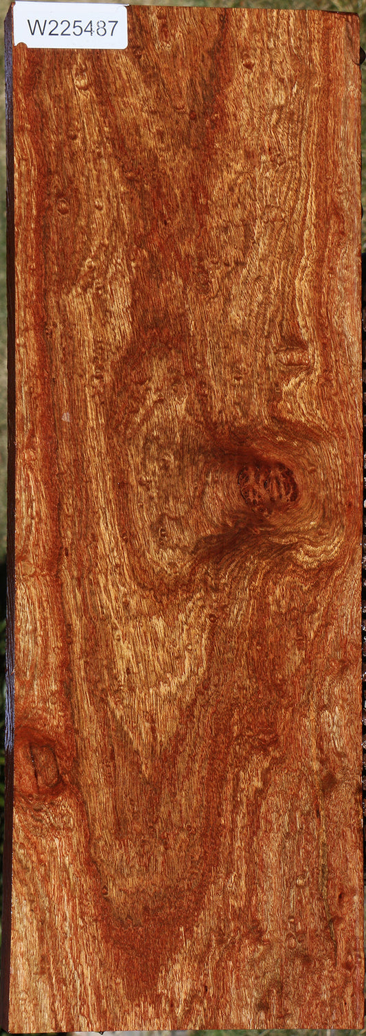 Extra Fancy Chechen Lumber