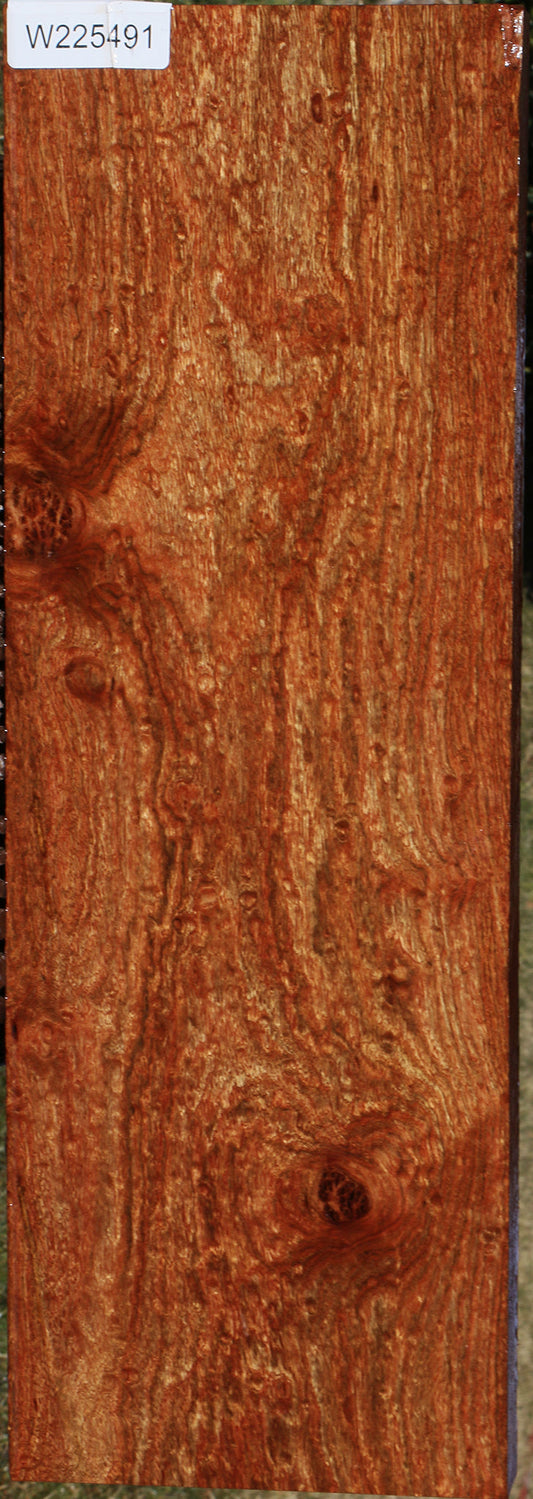 Extra Fancy Chechen Lumber