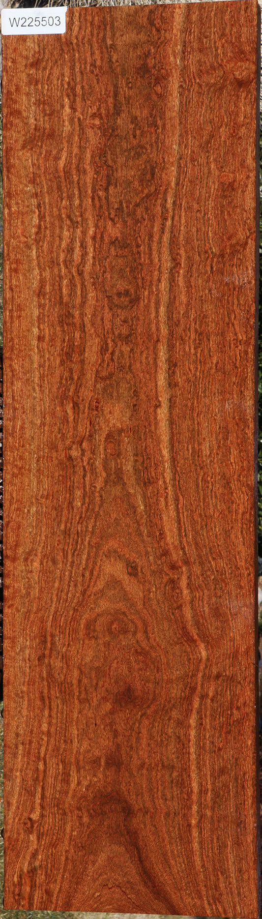 Extra Fancy Chechen Lumber