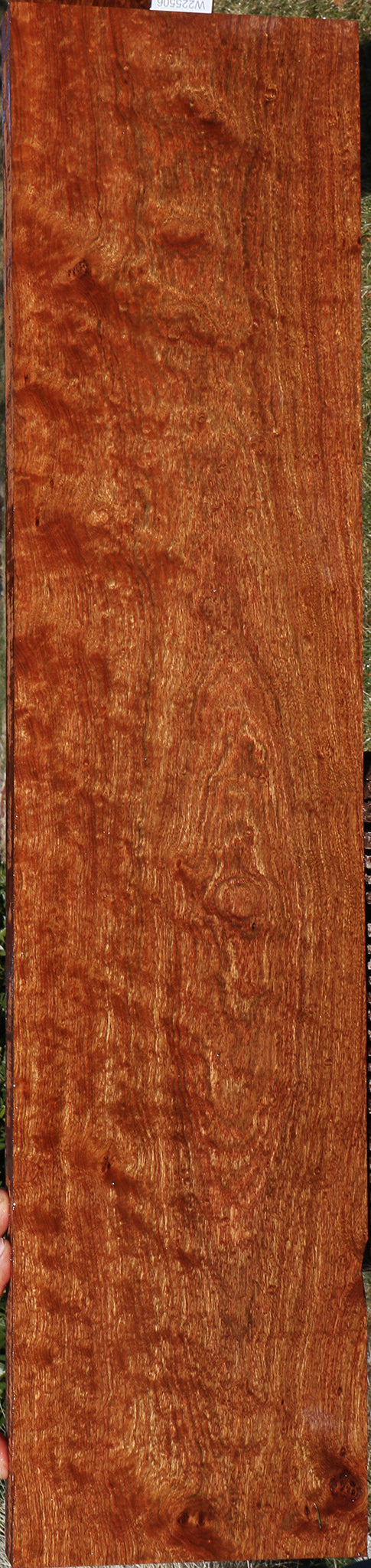 Extra Fancy Chechen Instrument Lumber