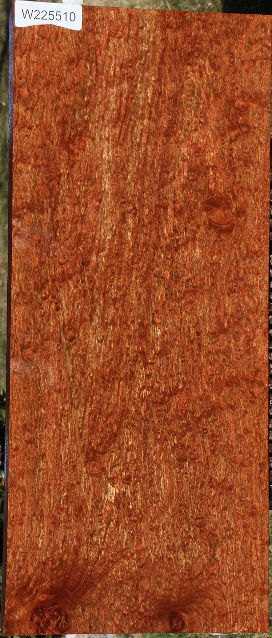 Extra Fancy Chechen Instrument Lumber