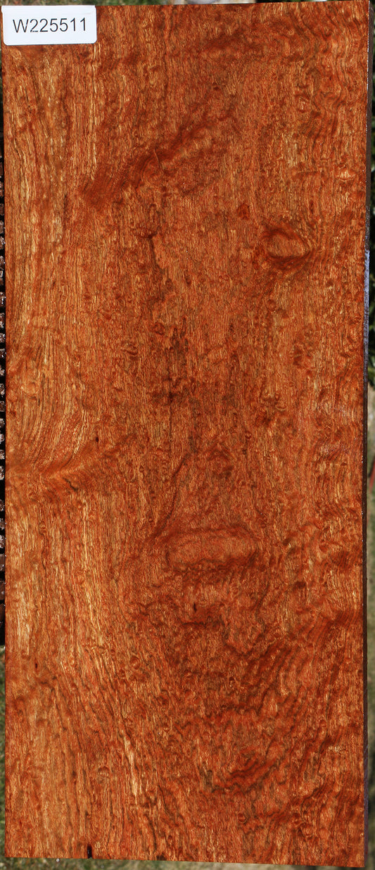 Exhibition Chechen Instrument Lumber