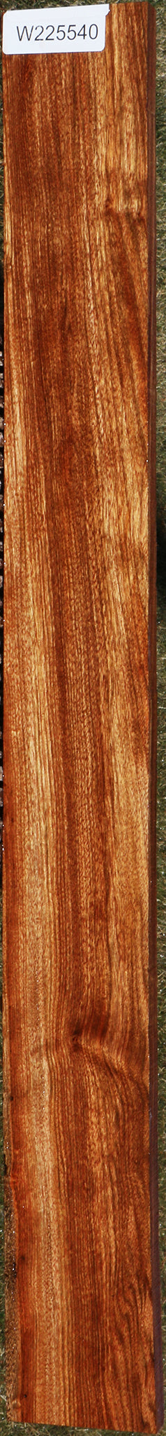 Figured Chechen Lumber