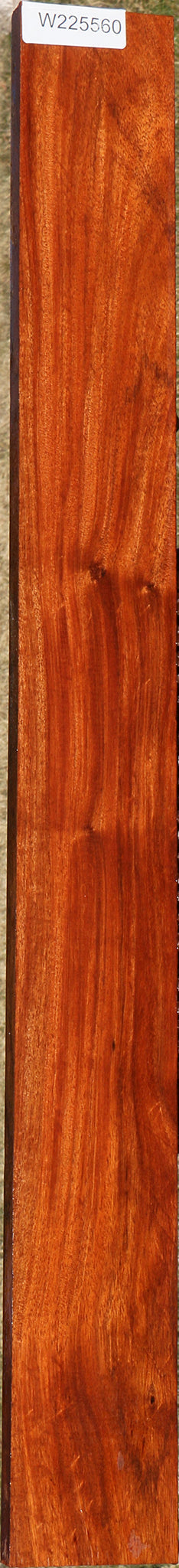Curatinga Rosewood Lumber