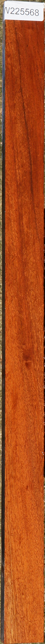 Figured Curatinga Rosewood Lumber