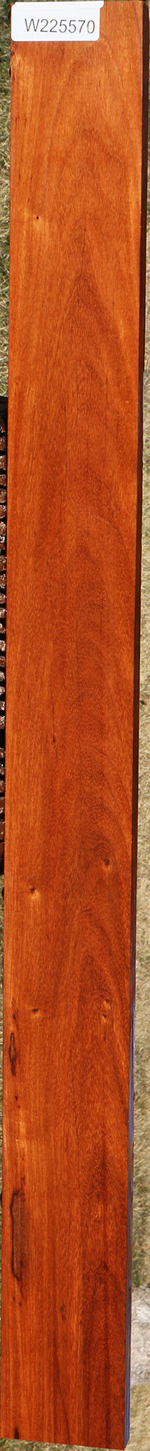 Rustic Curatinga Rosewood Lumber
