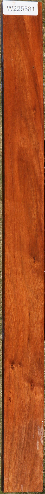 Figured Curatinga Rosewood Lumber