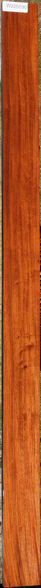 Figured Curatinga Rosewood Lumber