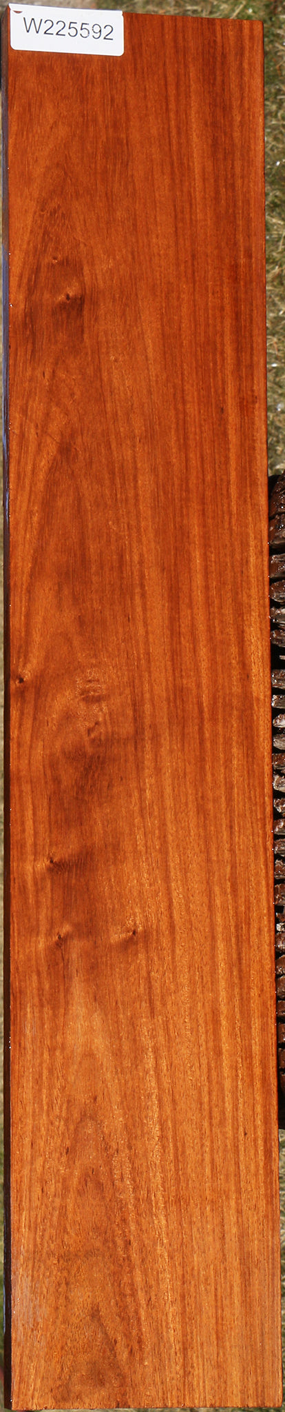 Figured Curatinga Rosewood Lumber