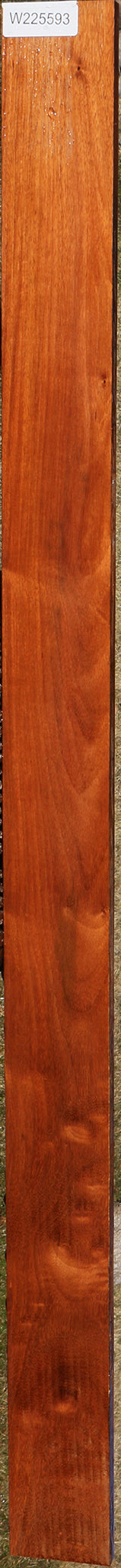 Figured Curatinga Rosewood Lumber