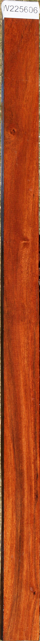 Figured Curatinga Rosewood Lumber