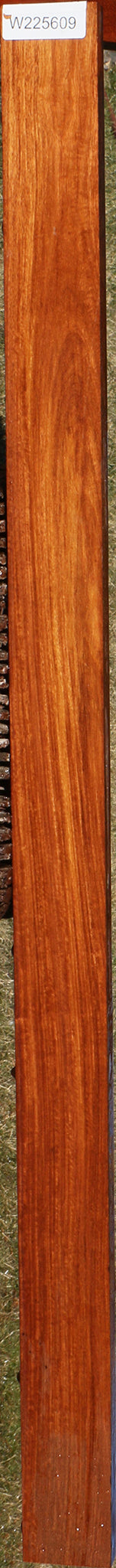 Extra Fancy Curatinga Rosewood Lumber