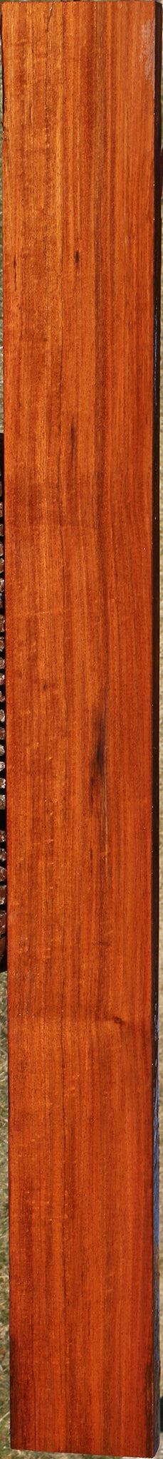 Figured Curatinga Rosewood Lumber