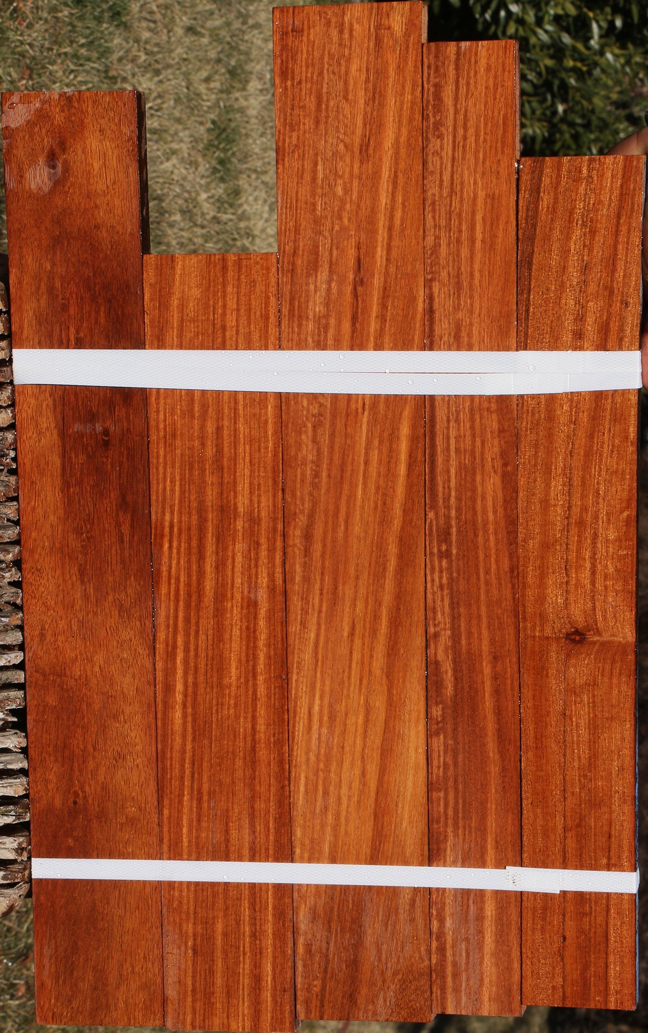 Curatinga Rosewood Lumber 5 Pack