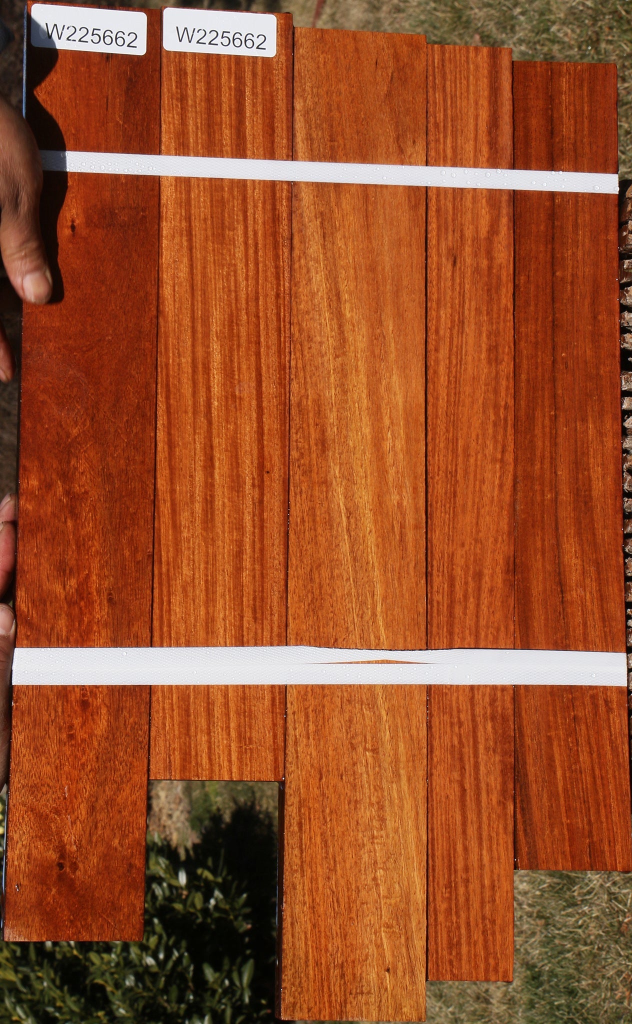 Curatinga Rosewood Lumber 5 Pack