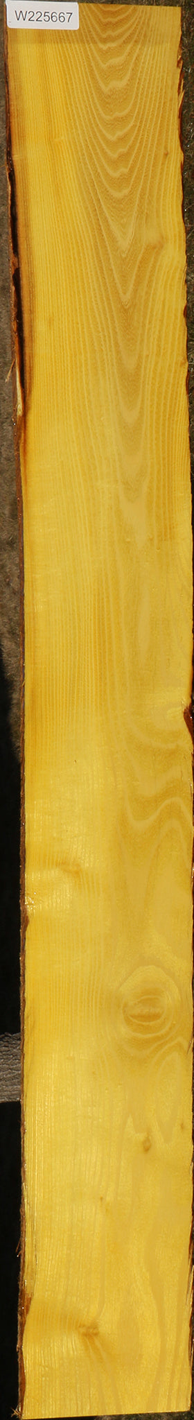 Extra Fancy Osage Orange Lumber