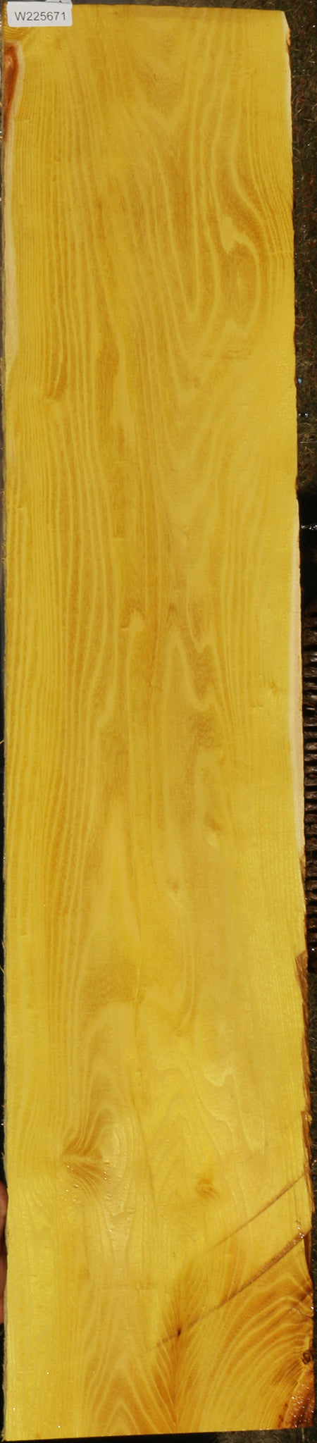 Extra Fancy Osage Orange Lumber
