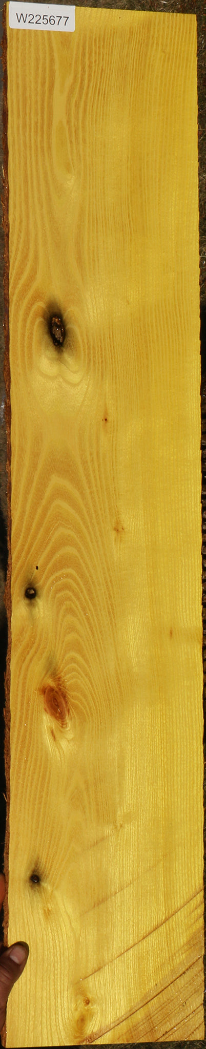Osage Orange Lumber