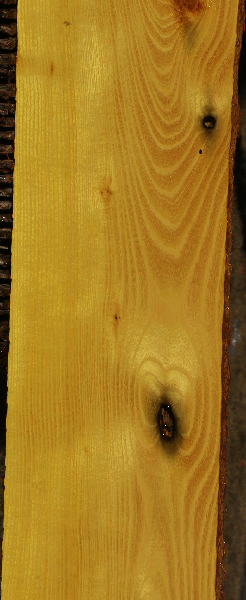 Osage Orange Lumber